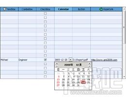 FlexCell表格控件 for ActiveX,FlexCell表格控件 for ActiveX下载,FlexCell表格控件 for ActiveX官方下载