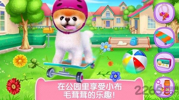 小布狗狗游戏破解版下载,小布狗狗,狗狗游戏,宠物游戏