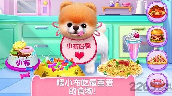 小布狗狗游戏破解版下载,小布狗狗,狗狗游戏,宠物游戏