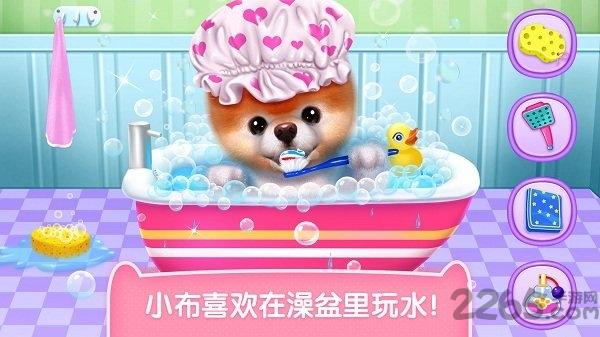 小布狗狗游戏破解版下载,小布狗狗,狗狗游戏,宠物游戏