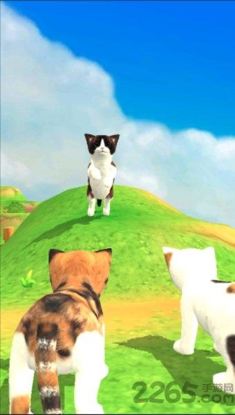 猫咪流浪记手游下载,猫咪流浪记,猫咪游戏,治愈游戏